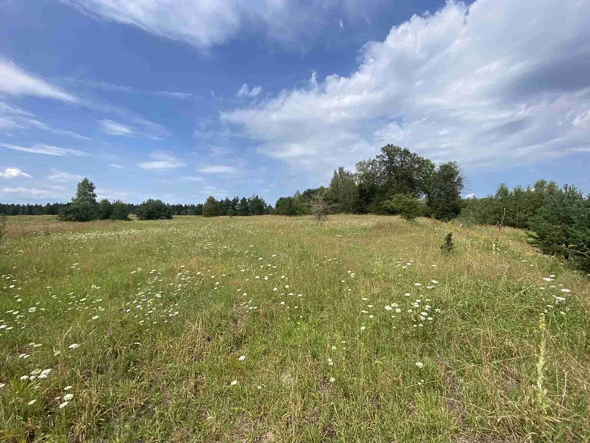 Prodej pozemku 6986 m²
